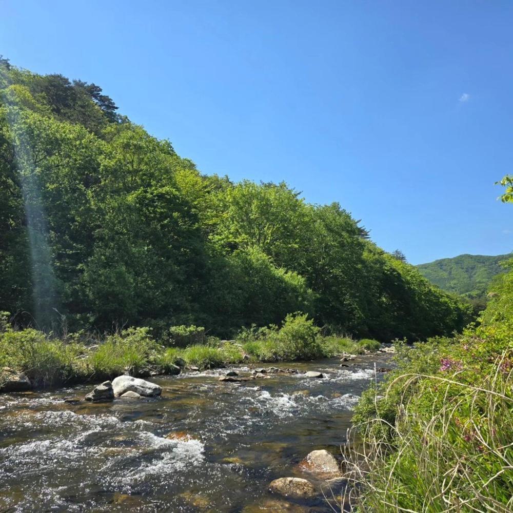 Pyeongchang Heungjeong Valley 409 Pension Luaran gambar