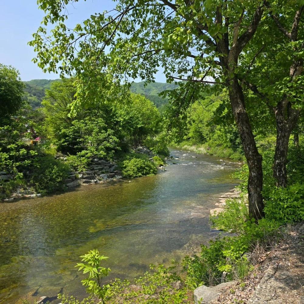 Pyeongchang Heungjeong Valley 409 Pension Luaran gambar